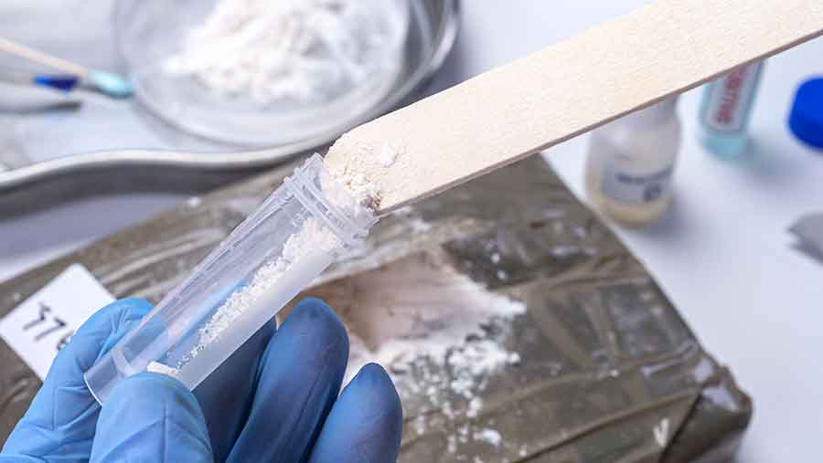 Ma Túy Tổng Hợp: Chất Lượng, Giá Cạnh Tranh